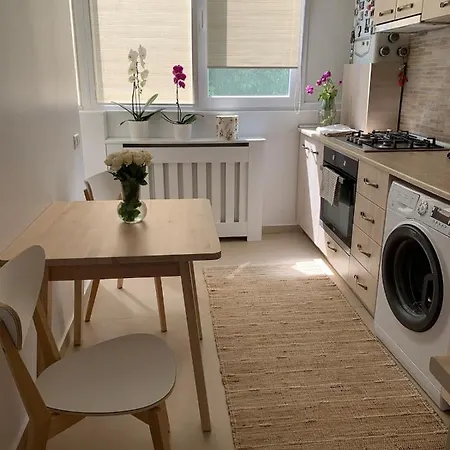 Private Cozy Room In A Shared Flat With The Host * Bükreş